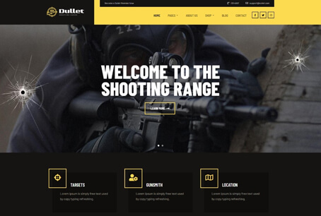 Gun Store Web Development